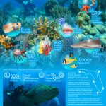 10 Great Spots For Snorkeling And Scuba Diving In Florida | Visit   Florida Dive Sites Map