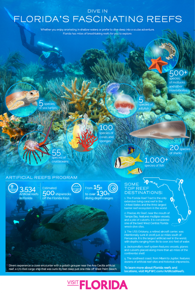10 Great Spots For Snorkeling And Scuba Diving In Florida | Visit - Florida Wreck Diving Map