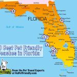 10 Of The Best Pet Friendly Beaches In Florida | Gopetfriendly   Florida Destinations Map