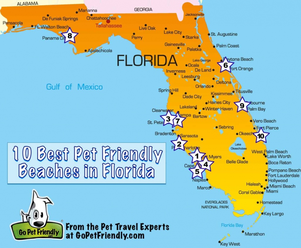 10 Of The Best Pet Friendly Beaches In Florida | Gopetfriendly - Map Of Florida Beaches On The Gulf Side