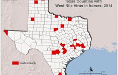 Zika Virus Texas Map