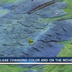 Algae Changing Color And On The Move On Florida's West Coast   Florida Blue Green Algae Map