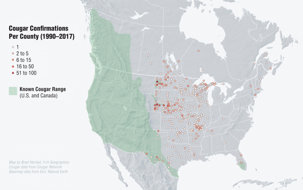 America&amp;#039;s Cat Is On The Comeback | American Scientist - Mountain Lions In Texas Map