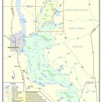 Apalachicola River | Northwest Florida Water Management District   Northwest Florida Water Management District Map
