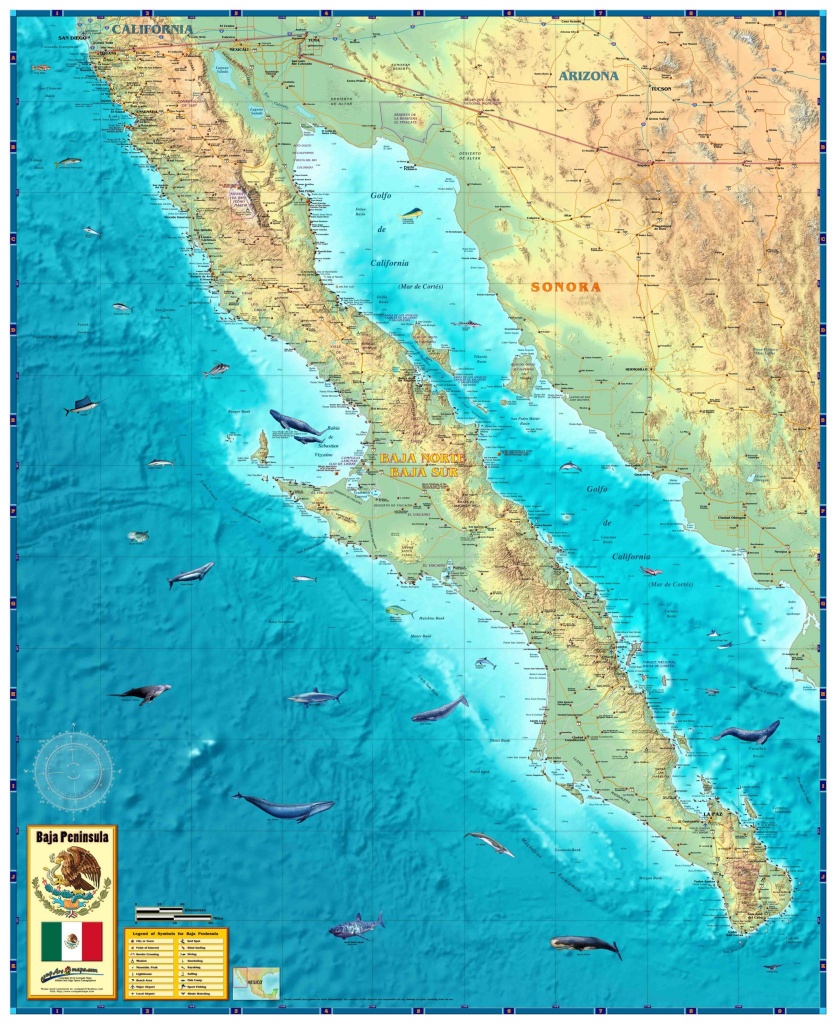 Baja Wall Map - Baja California Topographic Maps