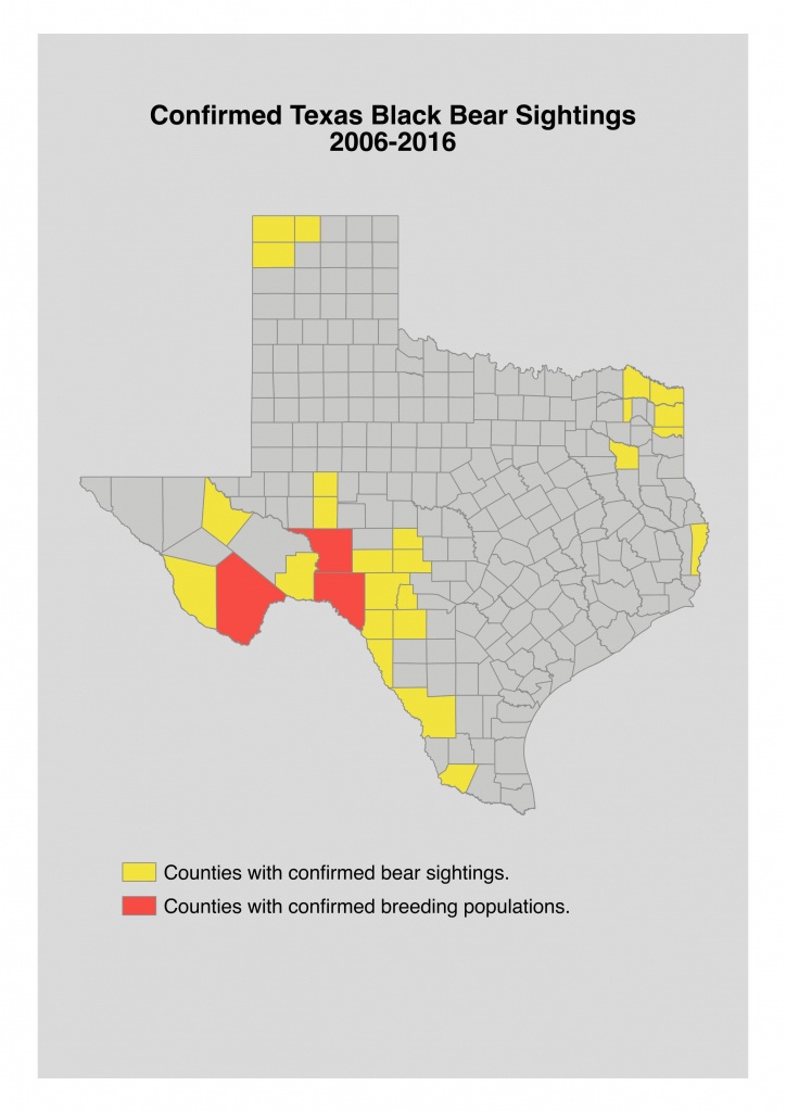 Bear Safety For Hunters In Texas - Texas Hunting Map