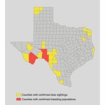 Bear Safety For Hunters In Texas   Van Horn Texas Map