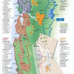 California's Wine Growing Regions | Infographics | Italian Wine   Map Of California Wine Appellations