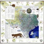 Conserving History With Map Sales   Expressnews   Texas General Land Office Maps