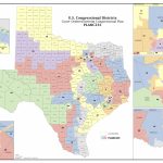 Court Delivers Election Maps For Texas House, Congress | The Texas   Texas State Senate District 10 Map
