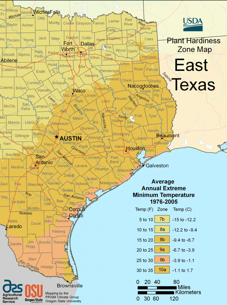 Texas Hardiness Zone Map Printable Maps