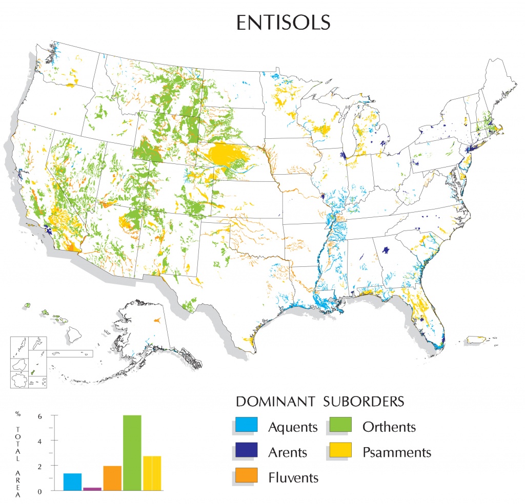 Entisols Map | Nrcs Soils - Florida Soil Types Map