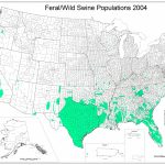 Feral Hogs Now Roam Ny, Thanks To Hunters Releasing Them   Florida Wild Hog Population Map