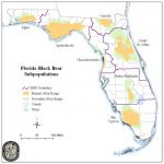 Florida Black Bear – Bear Conservation   Bears In Florida Map