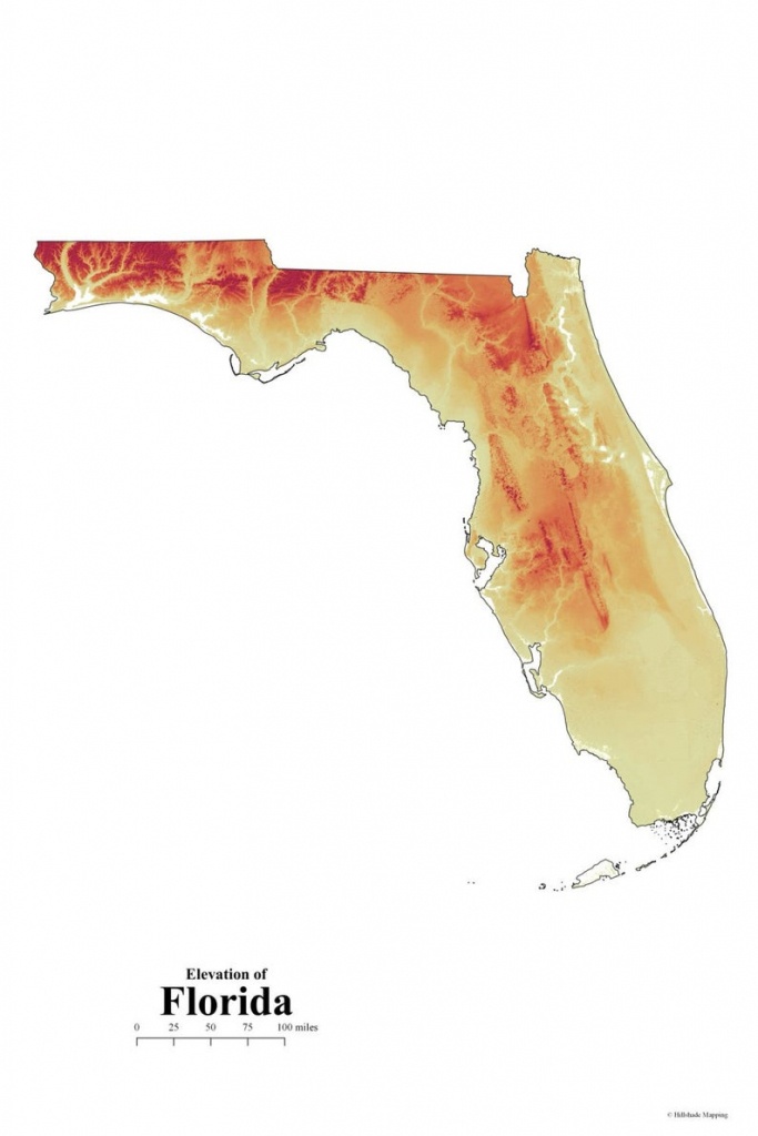Florida Elevation Map | Etsy - Florida Elevation Map