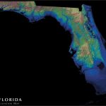 Florida Elevation Map : Florida   Florida Elevation Map By County