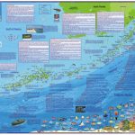 Florida Map, Florida Keys Guide And Dive,laminated, 2010Frankos   Florida Keys Snorkeling Map