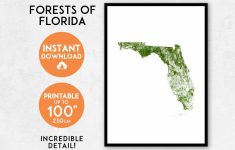 Florida Map Art