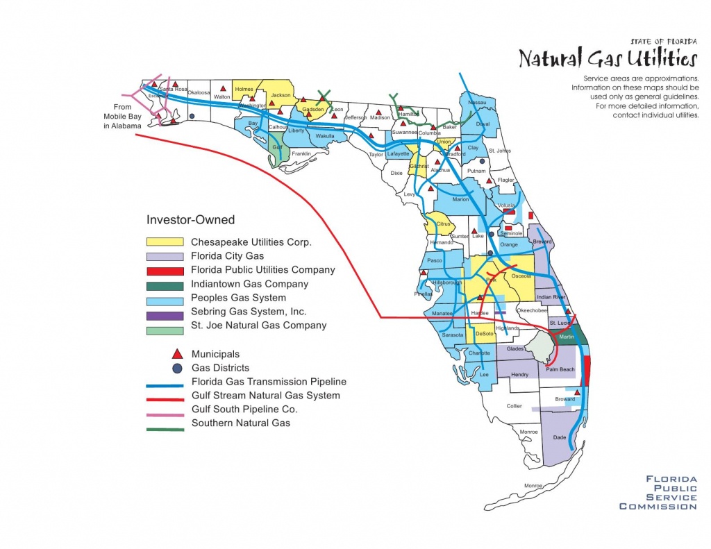 Florida Natural Gas Utilities · Avalon Energy - Florida Natural Gas Map