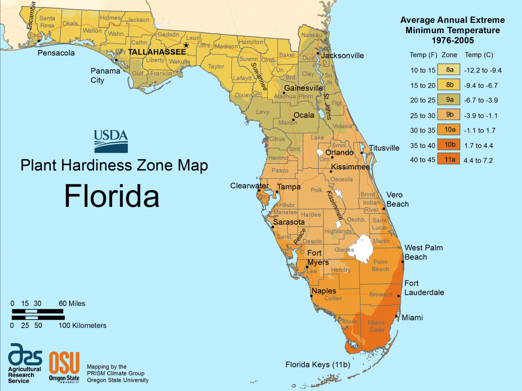 Florida Plant Hardiness Zone Map Large Map | Outdoors | Florida - Florida Growing Zones Map