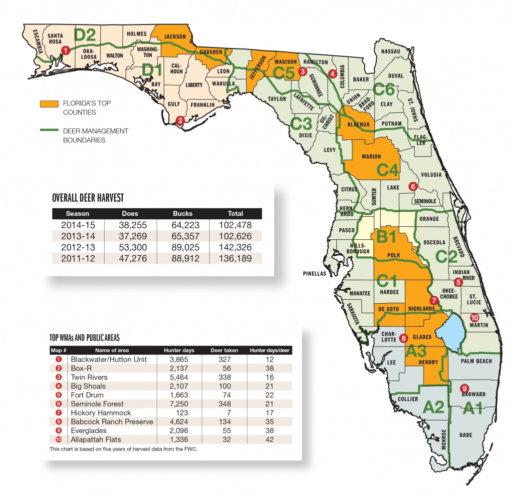 Florida Whitetail Experience - Huntingnet Forums - Florida Public Hunting Land Maps