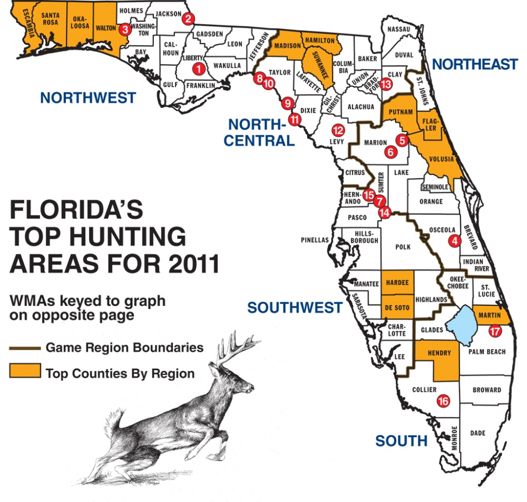 Florida Whitetail Experience - Huntingnet Forums - Florida Wild Hog Population Map