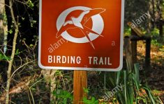 Great Florida Birding Trail Map