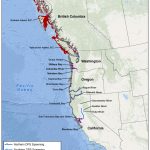 Green Sturgeon   California Ocean Fishing Map