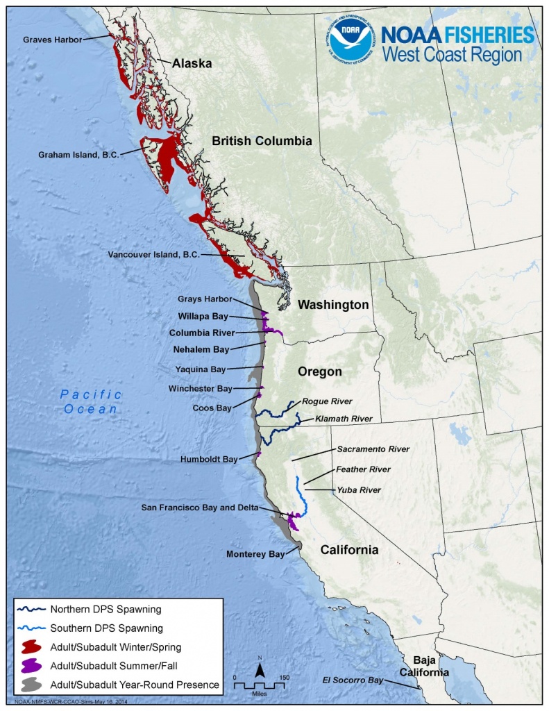 Green Sturgeon - California Ocean Fishing Map