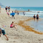 Health Officials In Florida Are Warning Residents And Tourists Alike   Florida Beach Bacteria Map 2018
