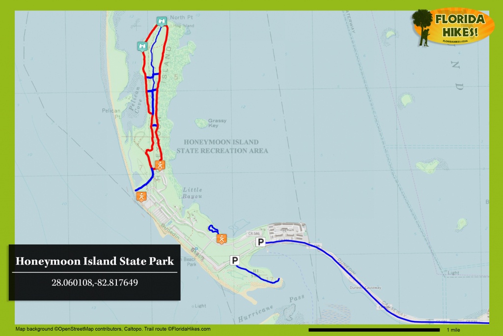 Honeymoon Island State Park | Florida Hikes! - Honeymoon Island Florida Map