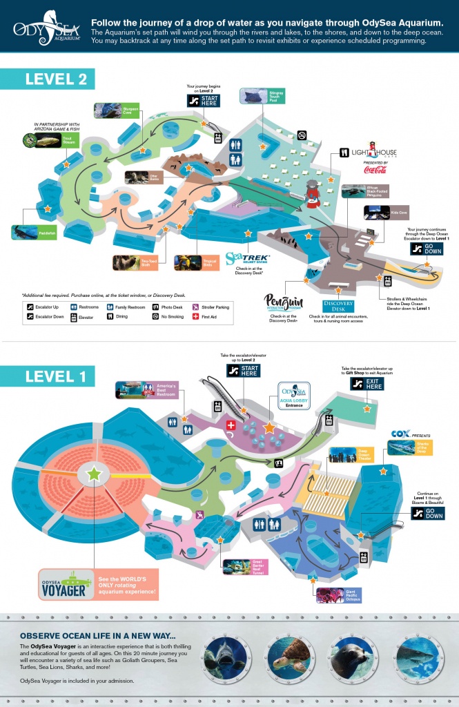 Hours And Visit Info For Odysea Aquarium - Florida Aquarium Map