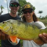 How To Find And Catch Peacock Bass In South Florida   Peacock Bass Florida Map