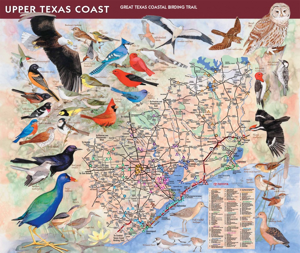 How To Purchase - Great Texas Wildlife Trails - Wildlife - Texas - Texas Birding Trail Maps