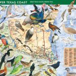 How To Purchase   Great Texas Wildlife Trails   Wildlife   Texas   Texas Birding Trail Maps