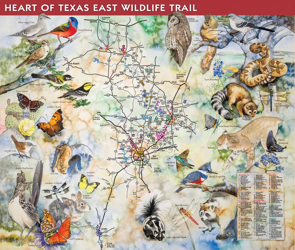 How To Purchase - Great Texas Wildlife Trails - Wildlife - Texas - Texas Birding Trail Maps