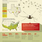 How Zika Virus Could Slip Through Texas' Health Safety Net   Texas Zika Map