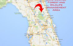 Lake George Florida Map