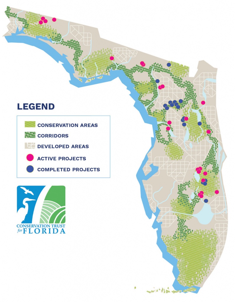Lands Protected — Conservation Florida - Florida Wetlands Map
