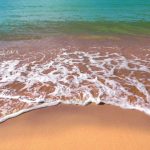 Latest Update: 2018 Florida Gulf Coast Red Tide Outbreak | Ingman Marine   Florida Beach Bacteria Map 2018