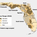 Lesson Ten: Oh Where, Oh Where Is The Florida Black Bear?   Black   Bears In Florida Map