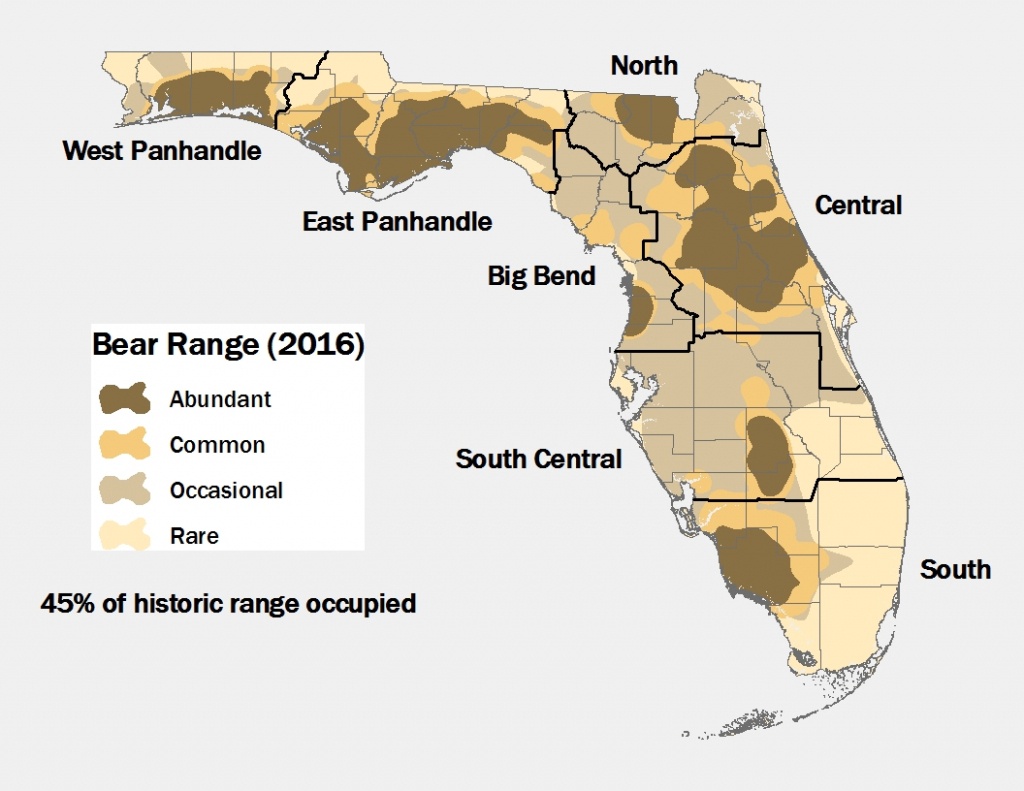 Lesson Ten: Oh Where, Oh Where Is The Florida Black Bear? - Black - Bears In Florida Map