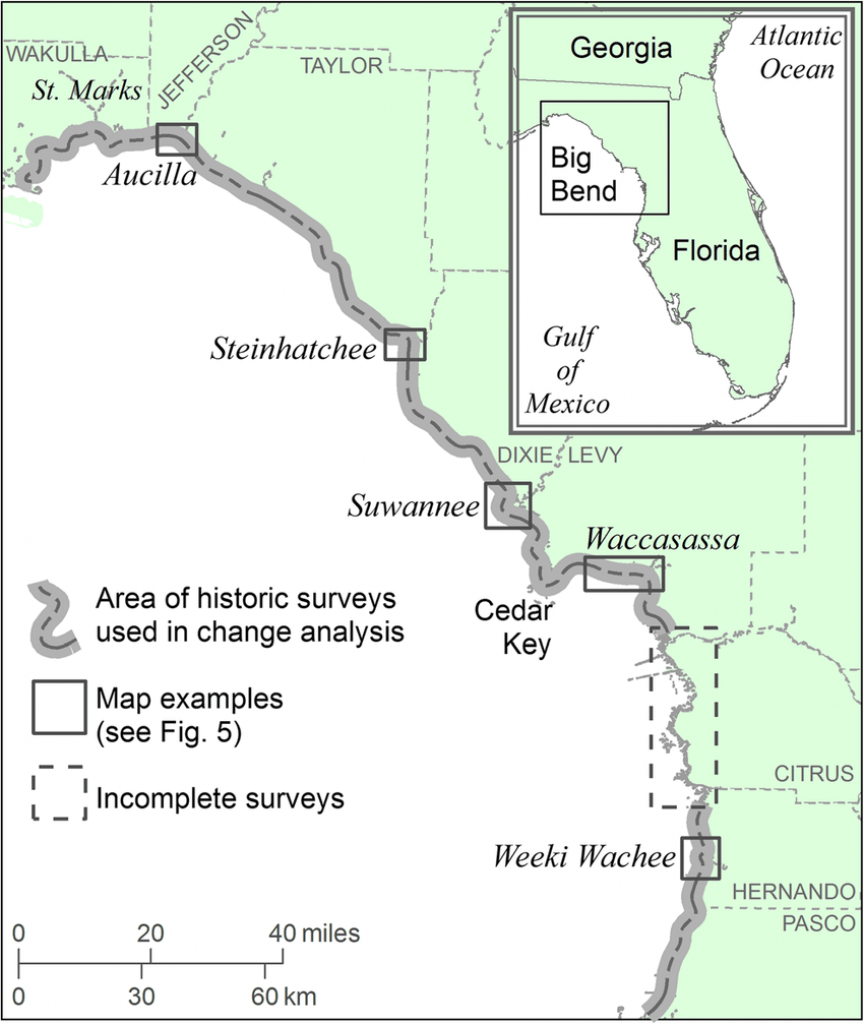 Location Map Of Florida Big Bend Marsh Coast On The Gulf Of Mexico - Florida Gulf Coastline Map