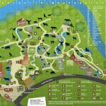 Map Of Jacksonville Zoo And Travel Information | Download Free Map   Zoos In Florida Map