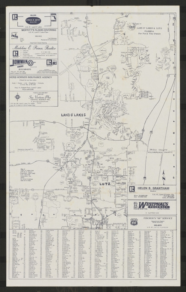 Map Of Land O&amp;#039; Lakes &amp;amp; Lutz Welcome To Florida Featuring In This - Lutz Florida Map