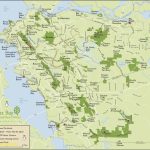 Map Of Redwood Forests In California United States Map Forest   Where Is The Redwood Forest In California On A Map