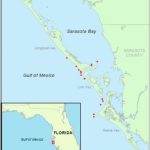 Map Of Sampling Area Off Sarasota, Fl Showing Locations Of A   Sarasota Florida Map Of Florida