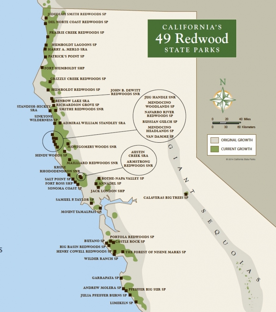 Where Is The Redwood Forest In California On A Map | Printable Maps