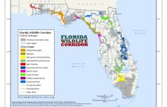 Florida Public Hunting Land Maps