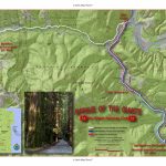Marathon   Avenue Of The Giants California Map